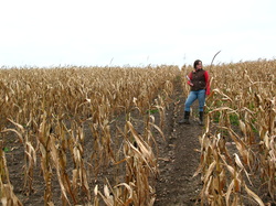 Hill is too steep for annual crops