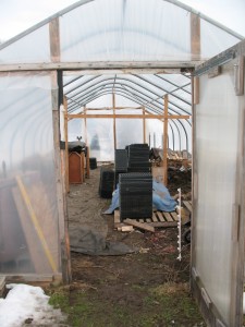 Greenhouse spring cleaning!