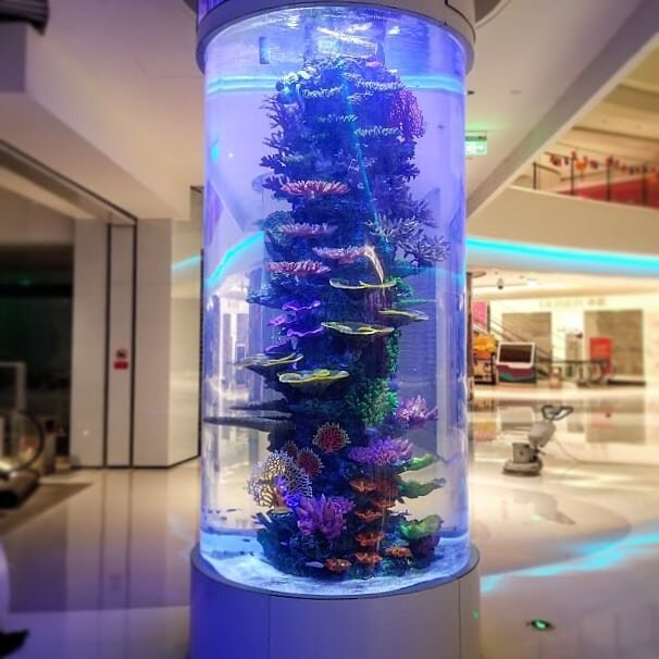 RedFin Aquarium Design