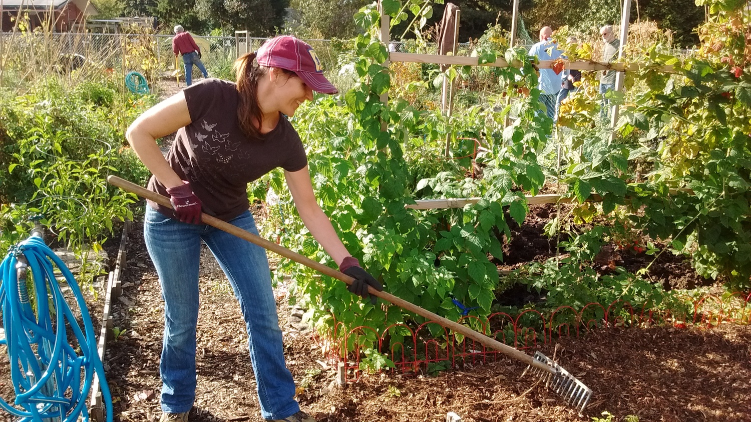 Volunteer With Lents Community Garden Portland Parks Foundation