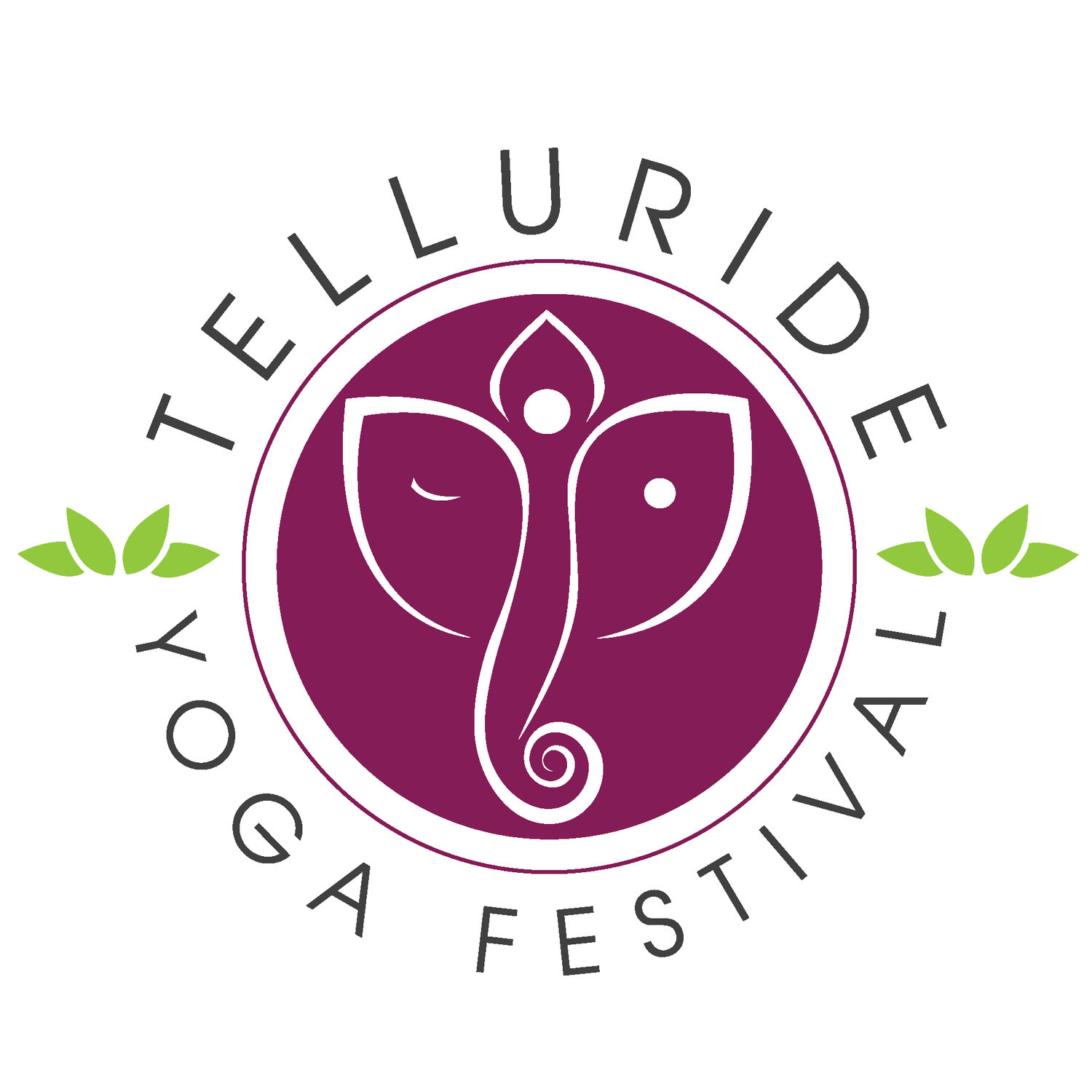 2018 Telluride Yoga Festival