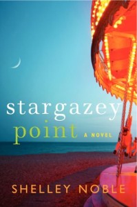 Stargazey Point book cover