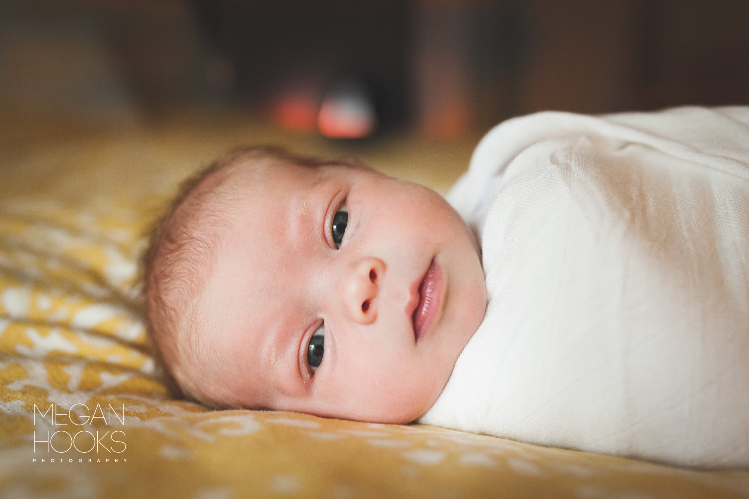 20141122-Baby Ivy Newborn - cMeganHooksPhotography-44