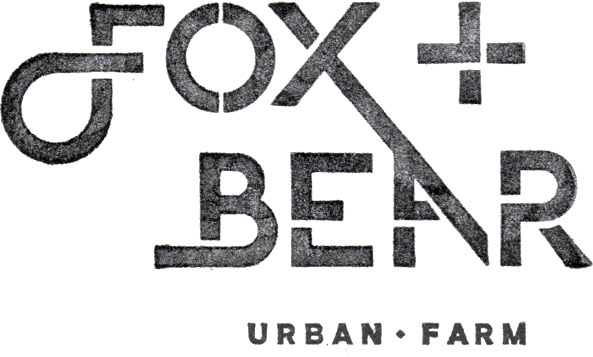 Fox + Bear
