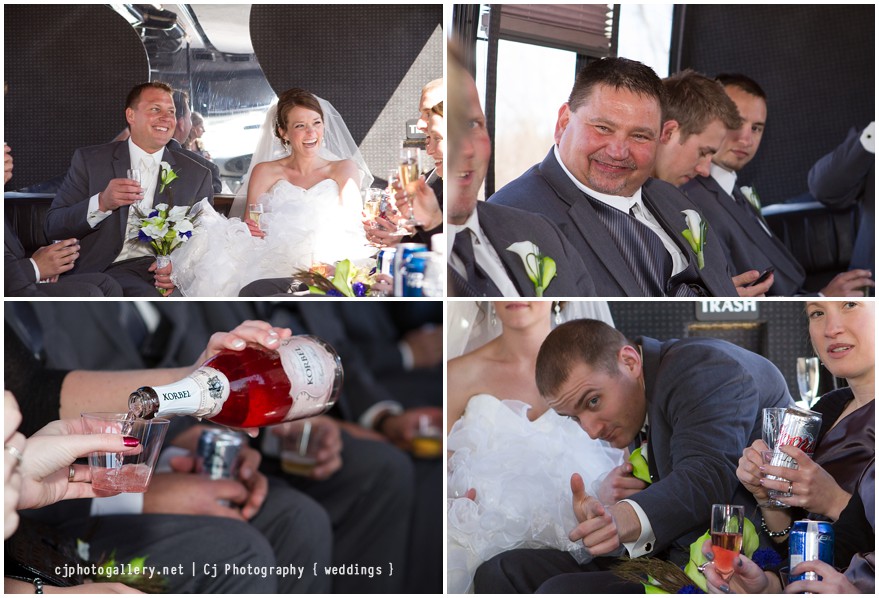 Stevens Point Wedding Photographers