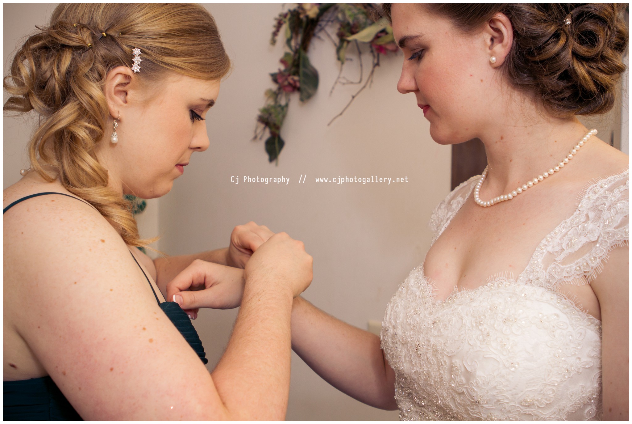 Appleton Wisconsin Wedding Photography - Cj Photography