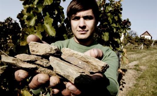 Christoph Wachter-Wiesler shows off the slate of the Eisenberg in Austria's Sudburgenland.  
