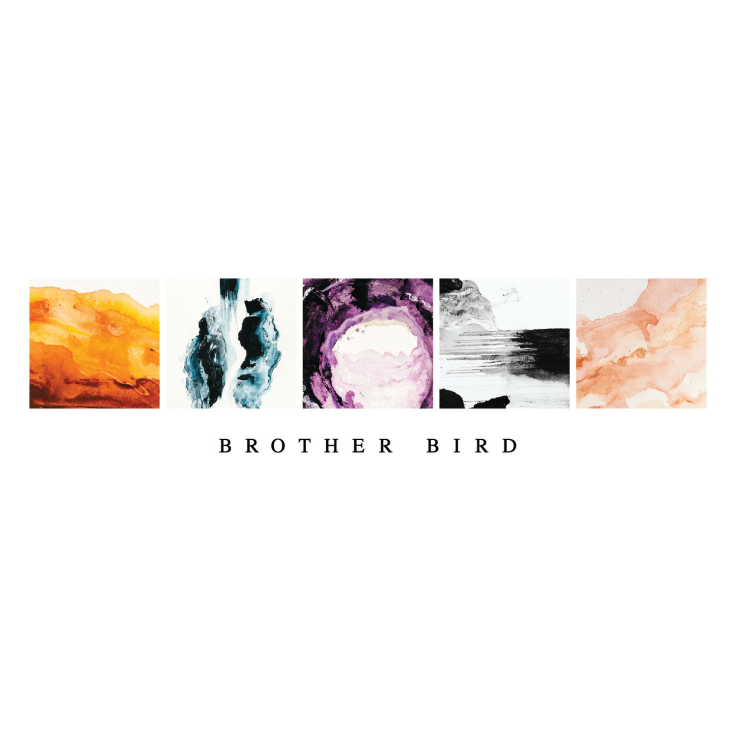 www.brotherbirdmusic.com