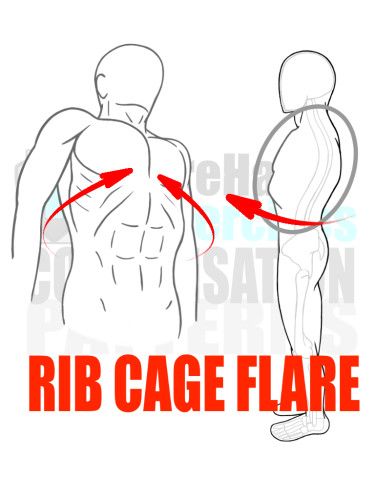 What's a Rib Flare and What Does it Mean? — Integrate 360 Physical Therapy