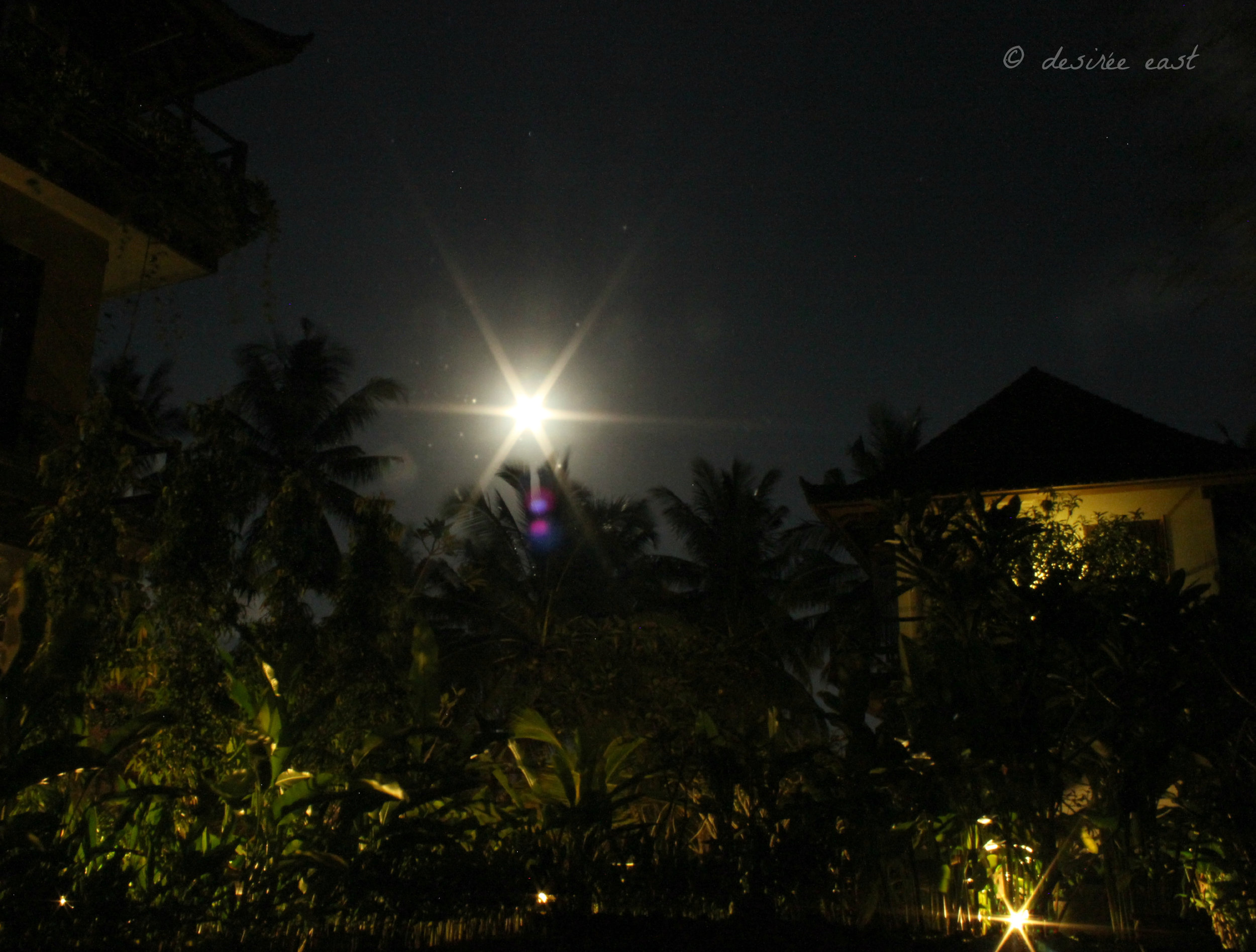 moonlit balinese night. ubud, bali, indonesia. photo by desiree east