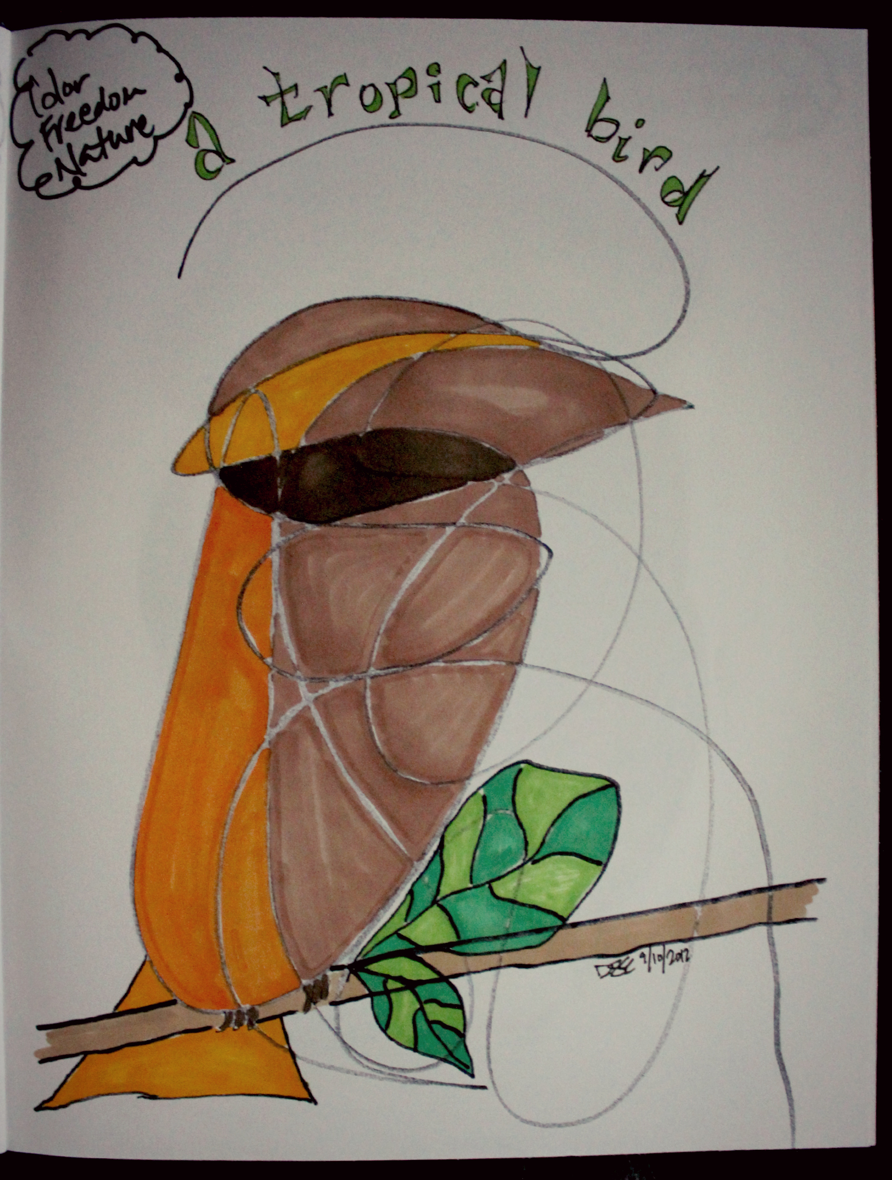 a tropical bird scribble. the words that spoke to me: color, freedom, nature. by desiree east