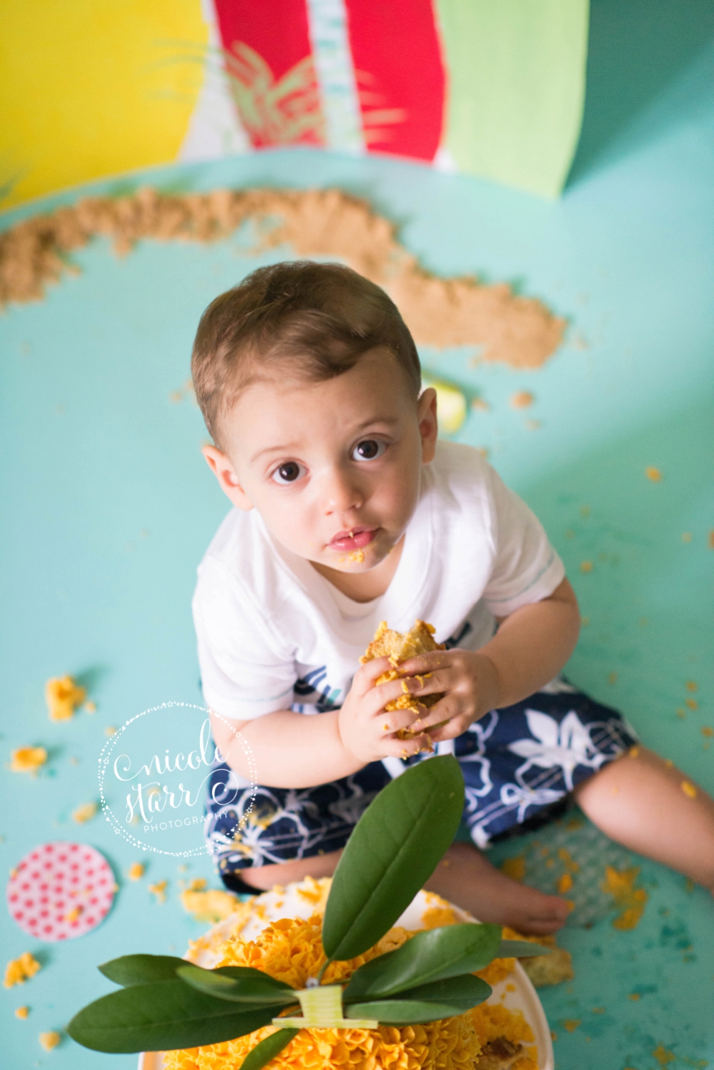 boston family photographer pineapple birthday cake smash