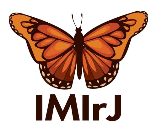 IMIrJ Logo