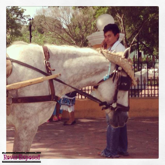 this is pretty much the only photo I snapped in Valladolid – el caballo con el sombrero pequeno