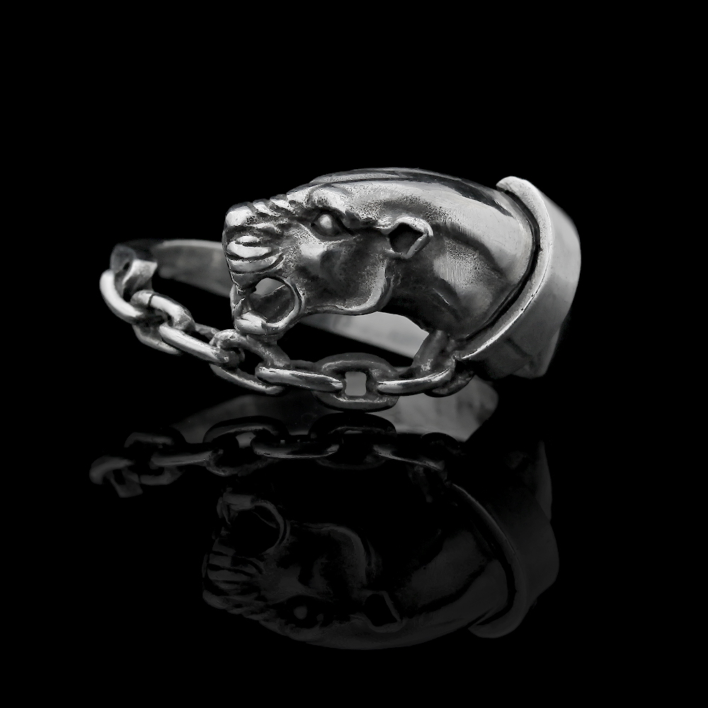 Sterling Silver Sculpture Ring by AVprophoto
