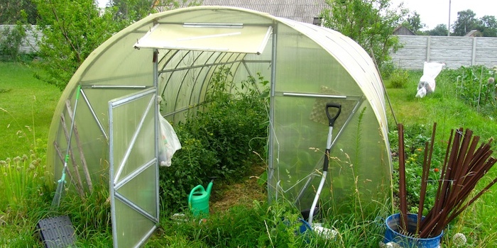 Teplitsa - a typical greenhouse