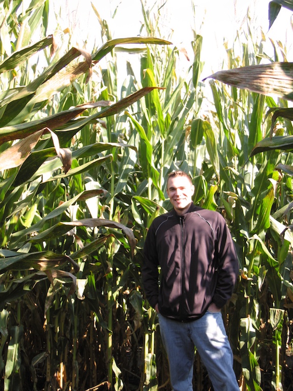 Grown-up corn