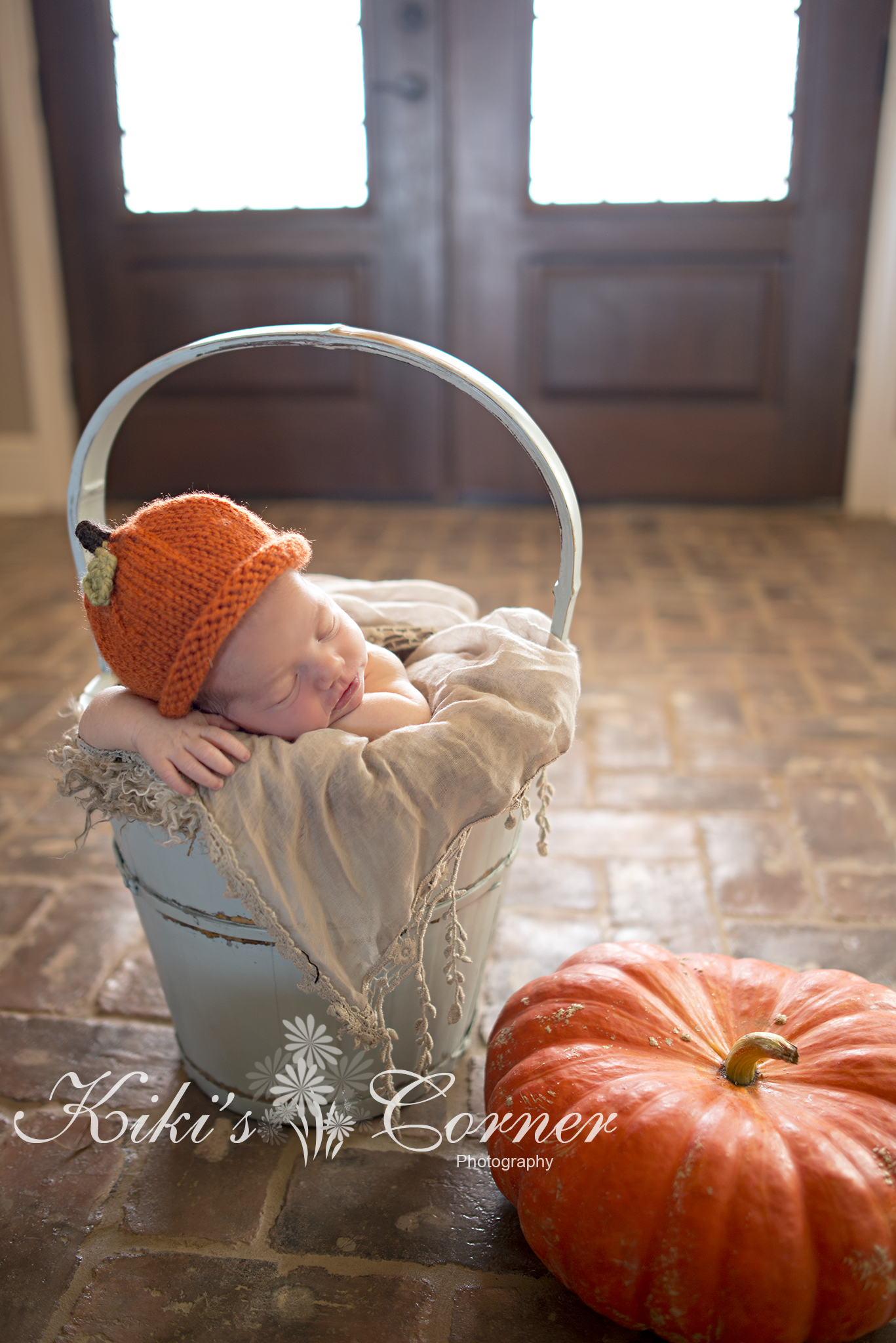 newborn pumpkin 