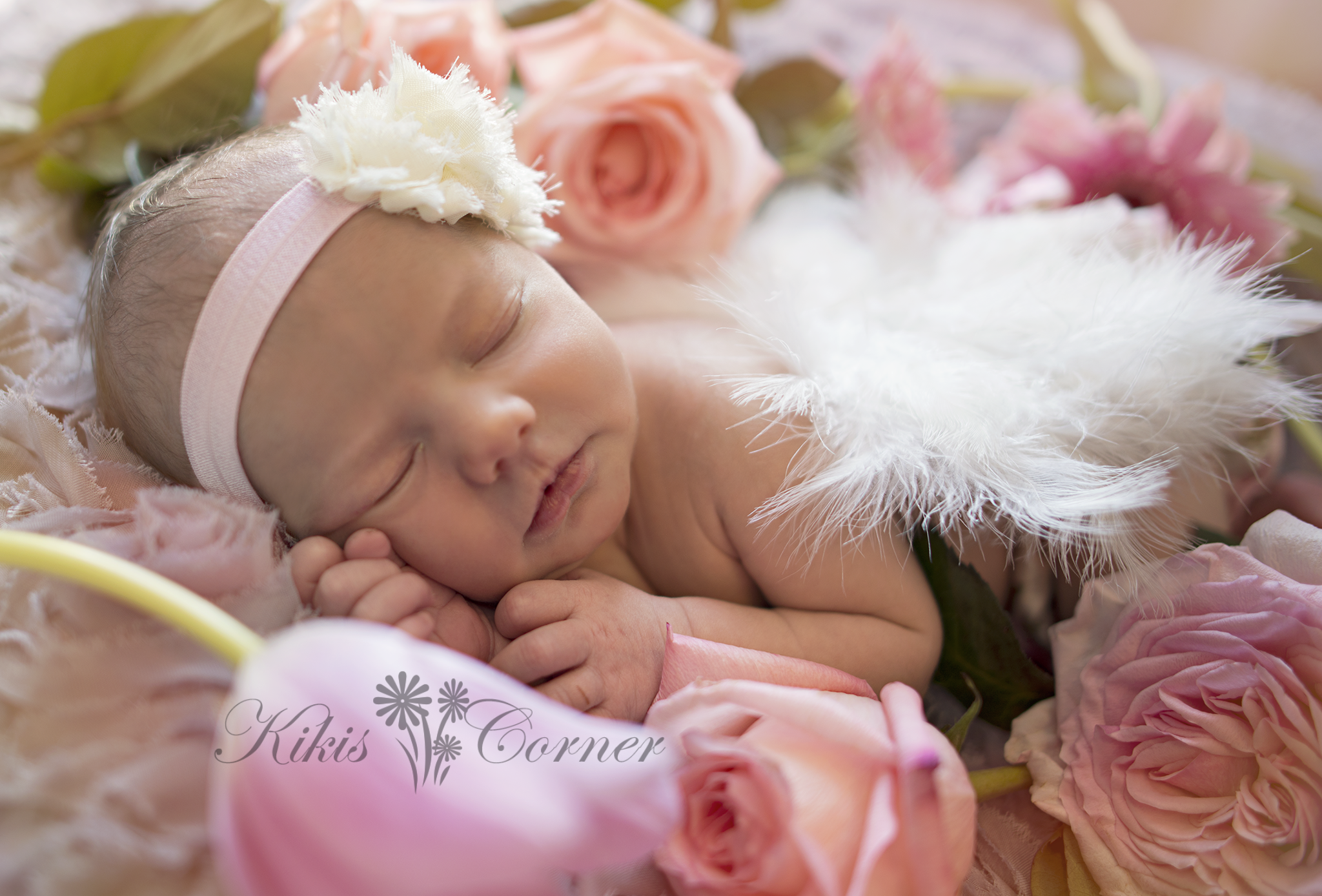 newborn with wings and roses