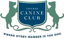 Chicago Canine