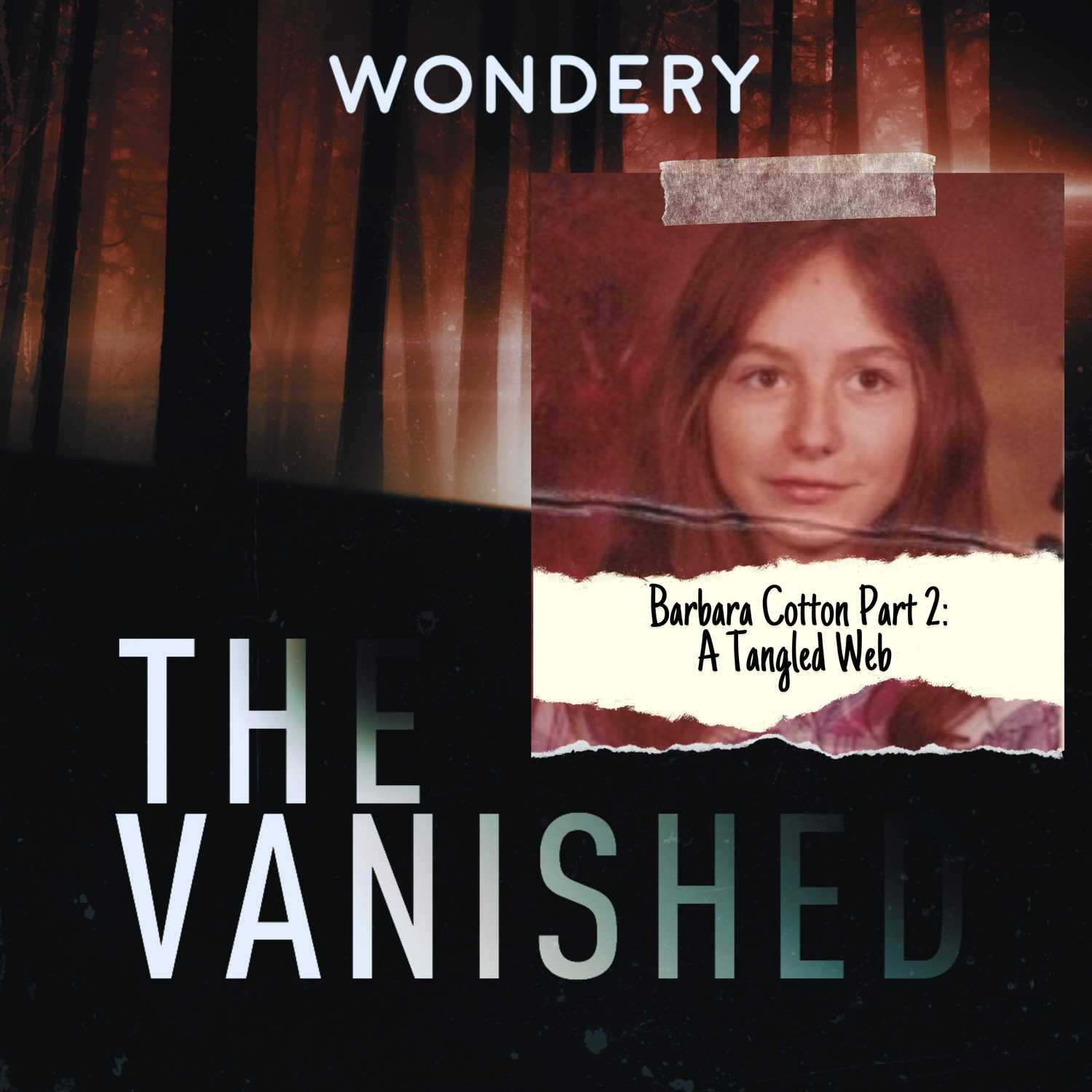 EPISODE 362: Barbara Cotton Part 2 - A Tangled Web — The Vanished Podcast