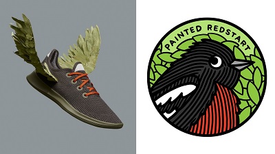 Endangered Bird Shoe Line 