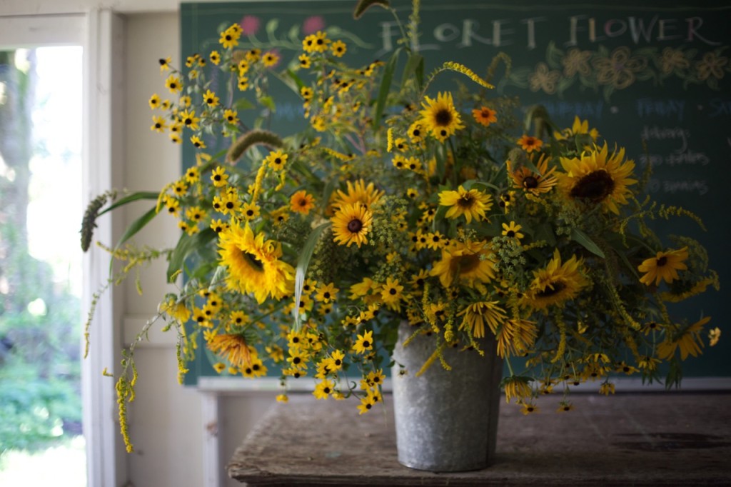 Sunflowers by Floret Farm