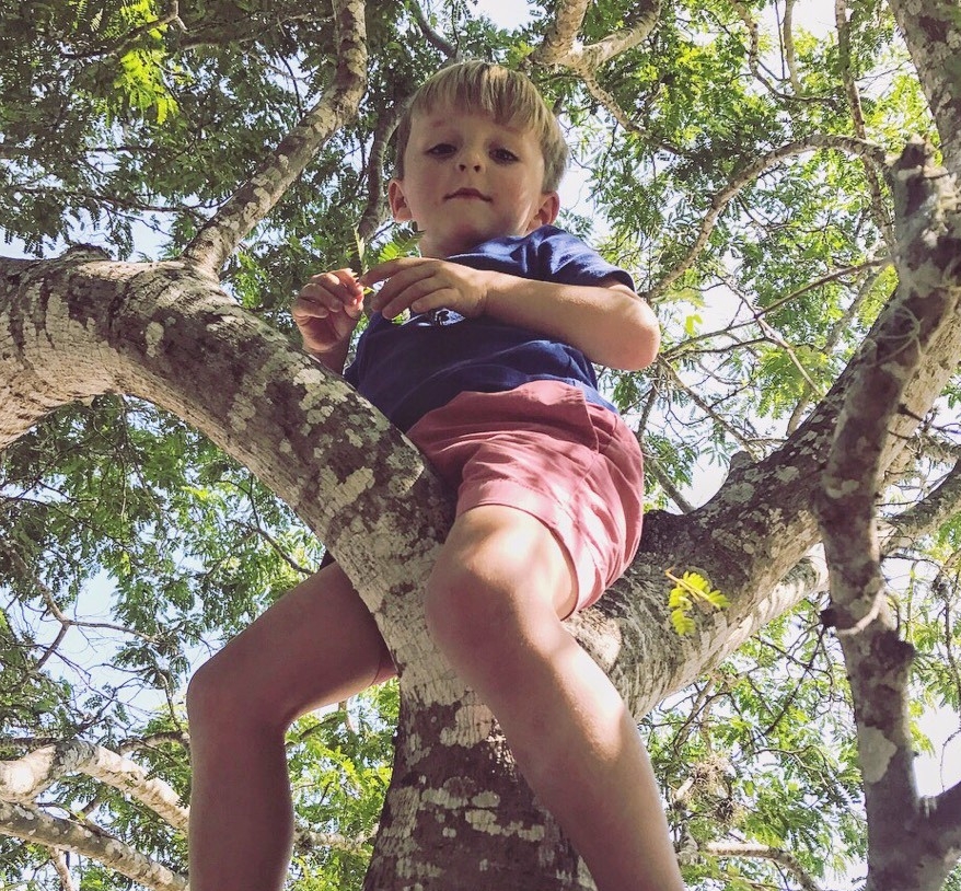 The Importance of Climbing Trees — CECI