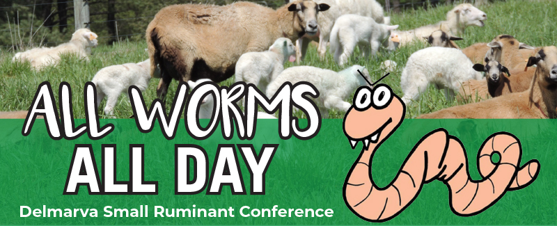 All Worms, All Day - Delmarva Small Ruminant Conference