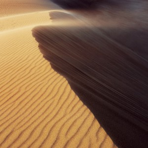 Dune Winds