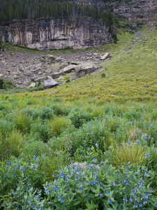 Meadow and cliff along the Macey Lakes Trail