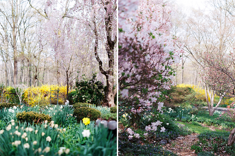 Garden Photography by Cynthia Brown Studio