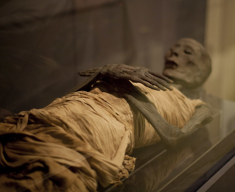 in-ancient-egypt-food-was-placed-in-the-grave-with-the-mummy