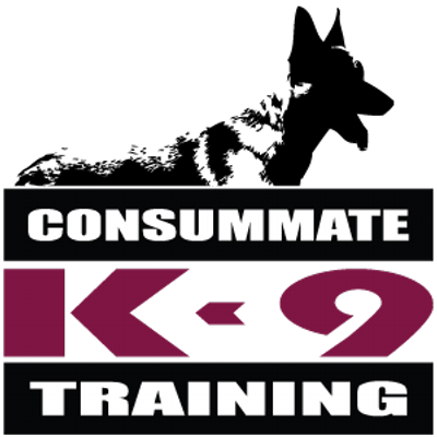 Consummate K-9 Training