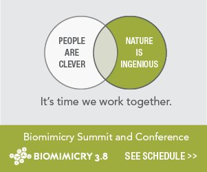 Biomimicry Education Summit and Global Conference