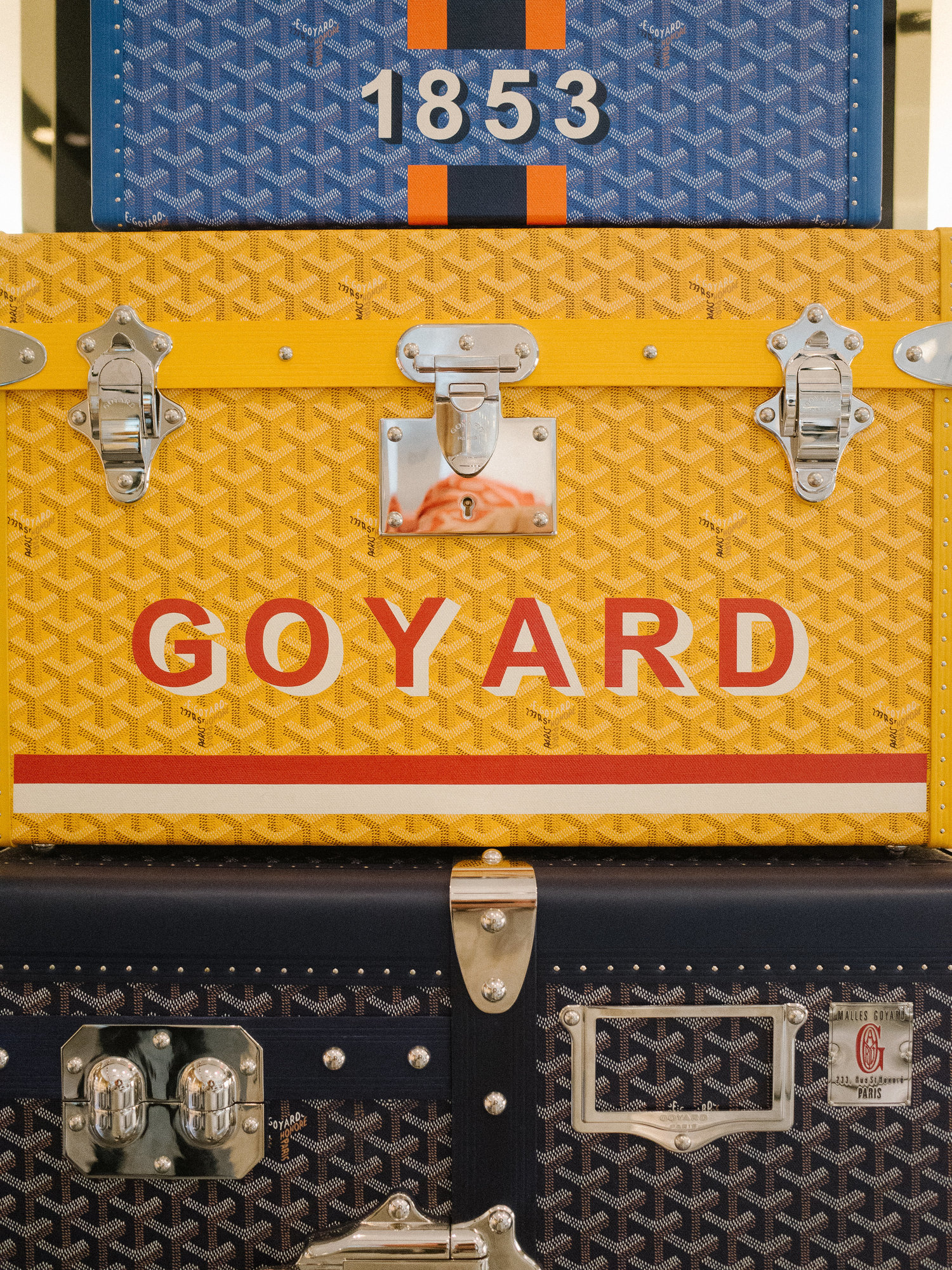 My Goyard 233 bag story from Bergdorf Goodman, and its review