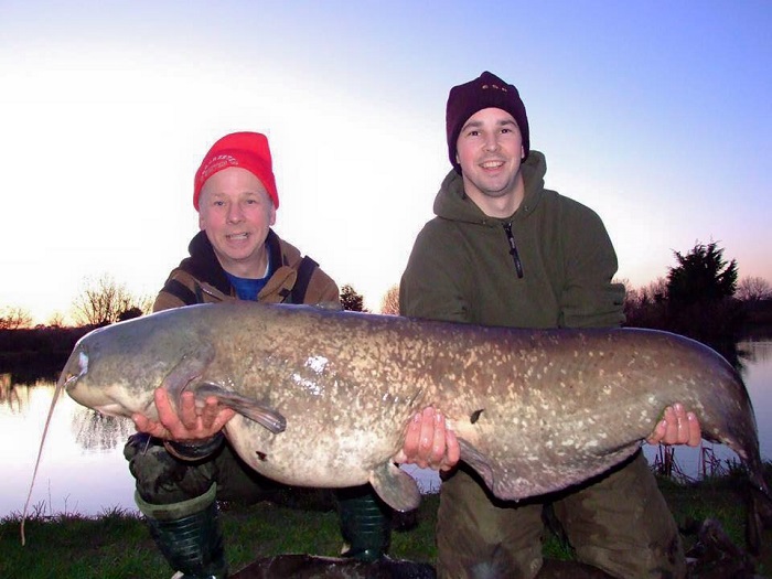 64lb catfish from Todber Manor Fisheries — Angling Times