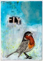 11-FlyRobinFly
