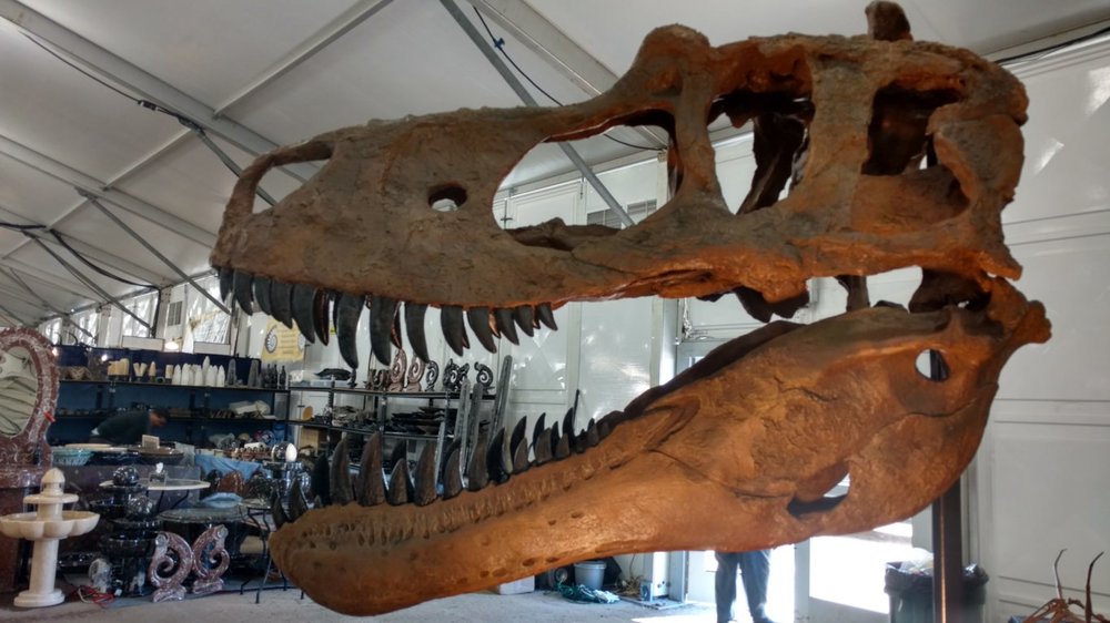  Dinosaur and fossil displays are king at the 22nd Street show    
