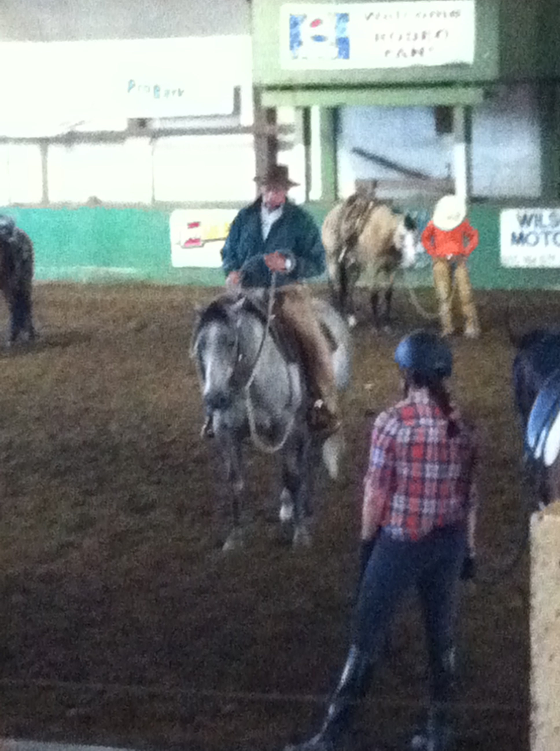 Buck unterrichtet Foundation Horsemanship