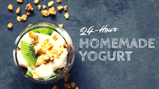 24-Hr Yogurt. Low In Lactose. Full Of Probiotics | Naturopath Victoria