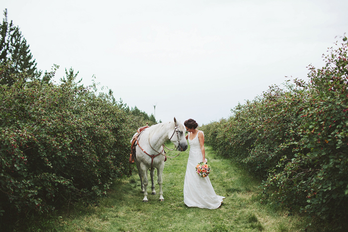 bride and groom with horse, white horse, hugo boss suit, rustic wedding, saskatoon farm wedding, david guenther, calgary wedding