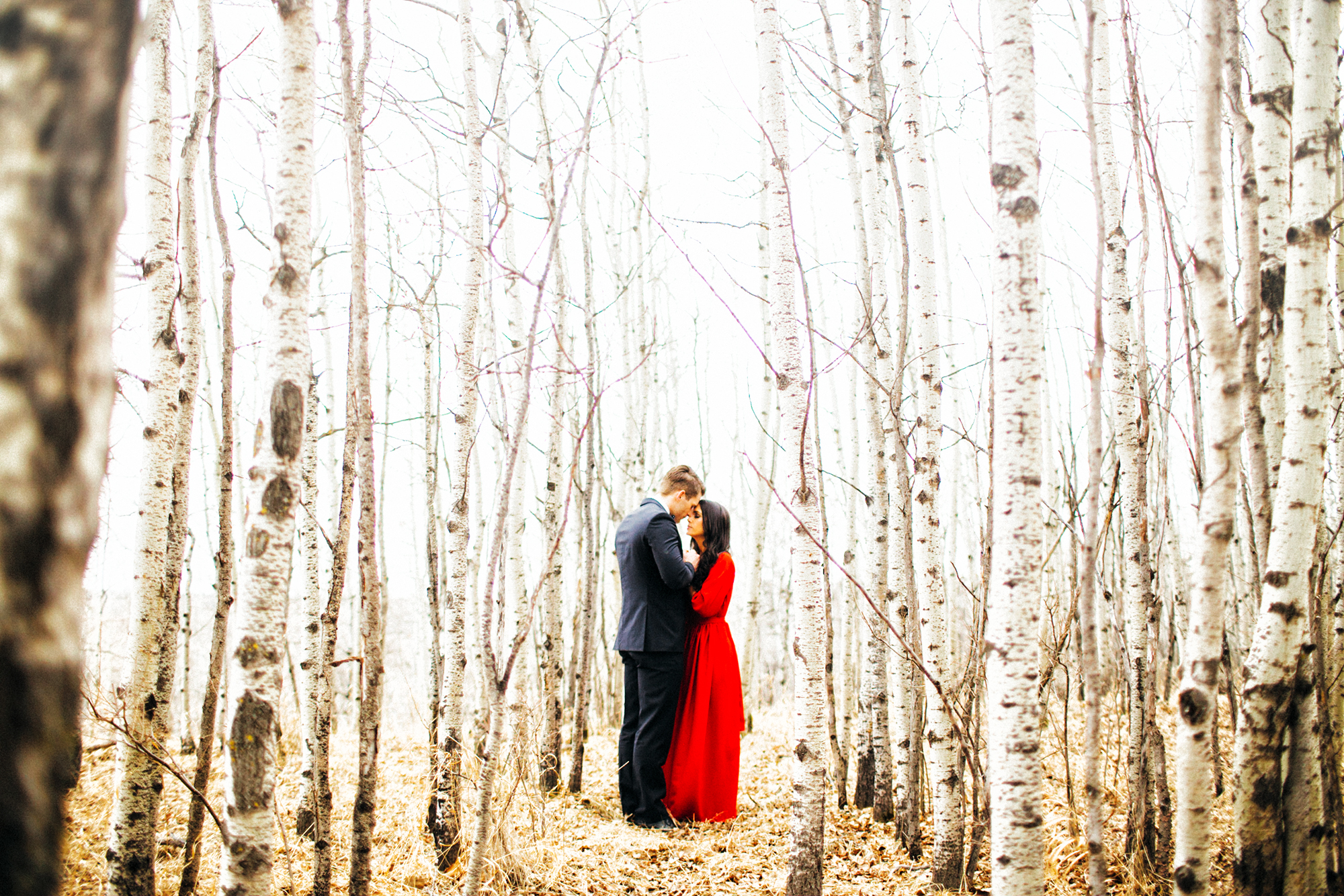 calgary engagement session, fish creek park, calgary wedding photographer, elegant engagement session, red gown