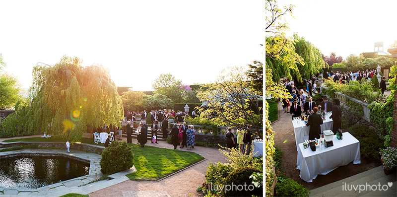 18_iluvphoto_chicago_botanic_garden_wedding_photographer