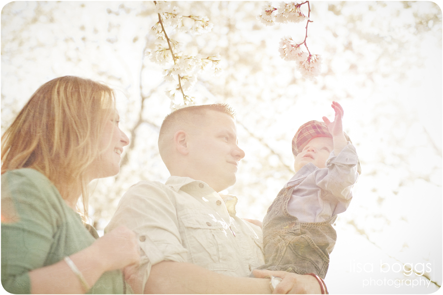jipsons_family_dc_cherry_blossoms_photography_02.jpg