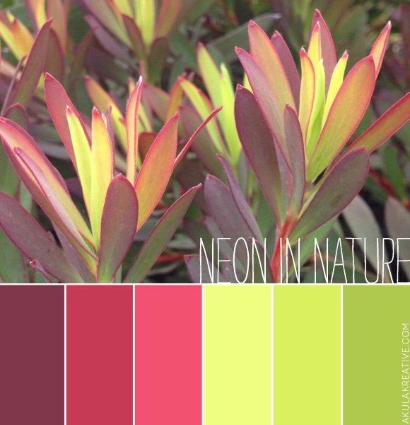 Neon in Nature Color Palette