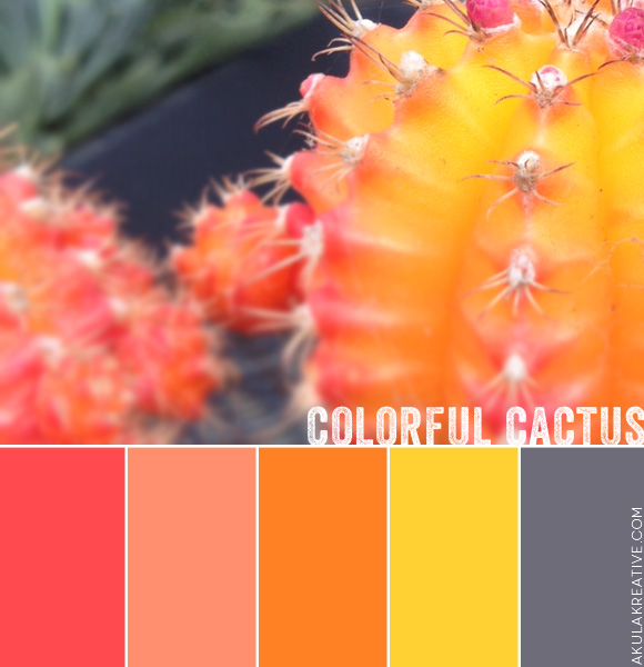Pink, Yellow, Orange, Gray Cactus Color Palette