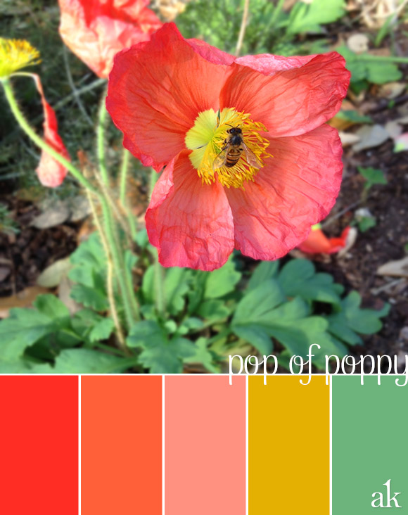 a poppy-inspired color palette .. red, poppy, pink, gold, mint
