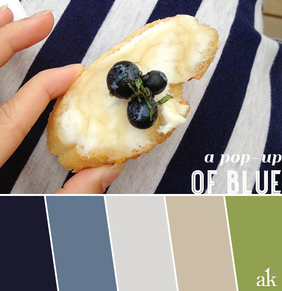a summer-blueberry-inspired color palette // navy, blue, gray, taupe, green