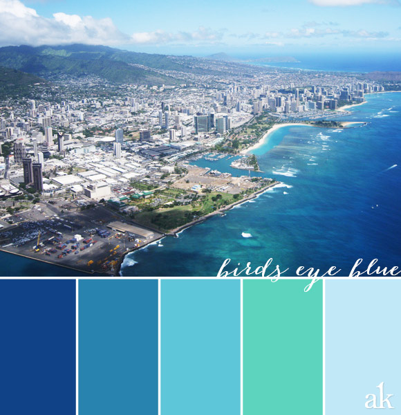 an ocean-inspired color palette // blue, aqua